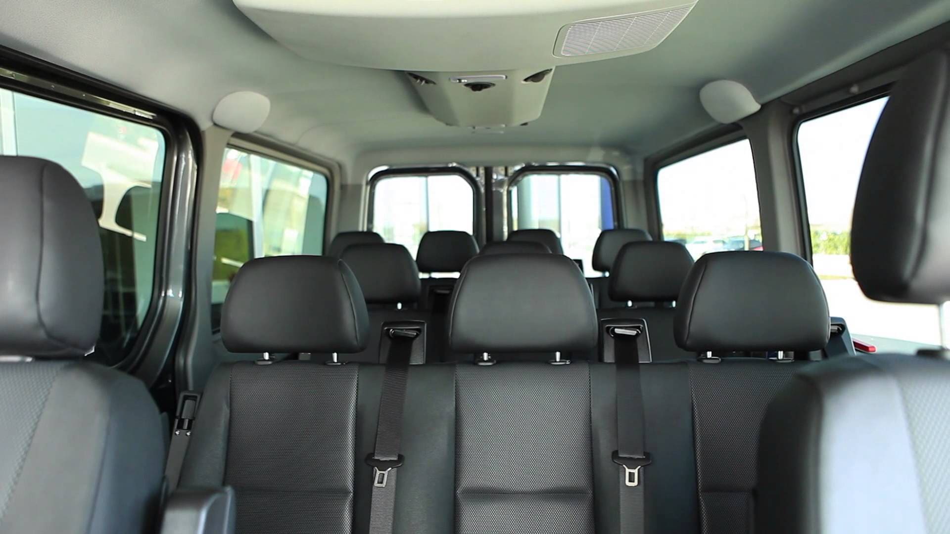Phoenix Passenger Style Sprinter Van